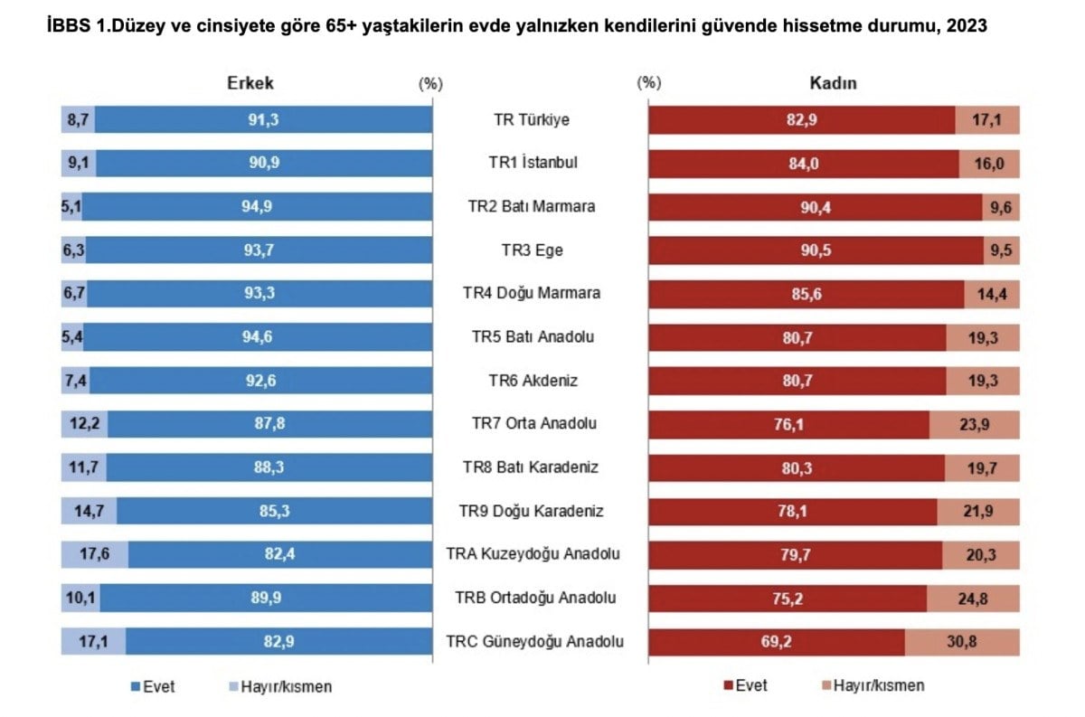 1711248426 291 Turkiyenin yasli profili cikartildi