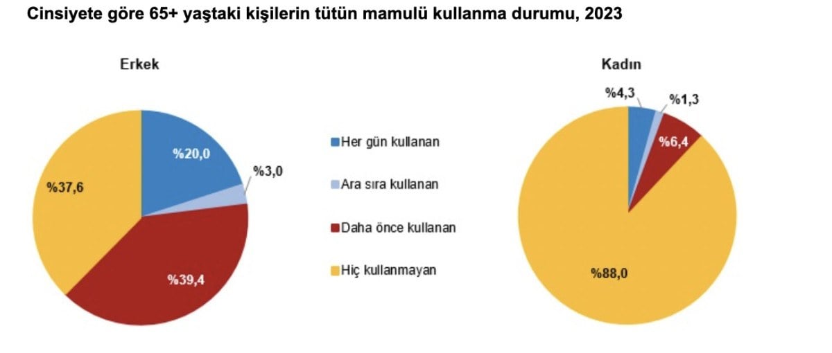 1711248426 620 Turkiyenin yasli profili cikartildi